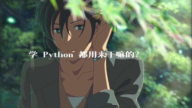 学 Python 都用来干嘛的？
