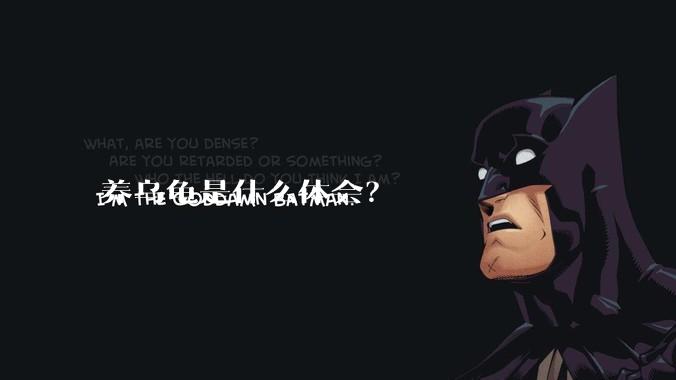 养乌龟是什么体会？