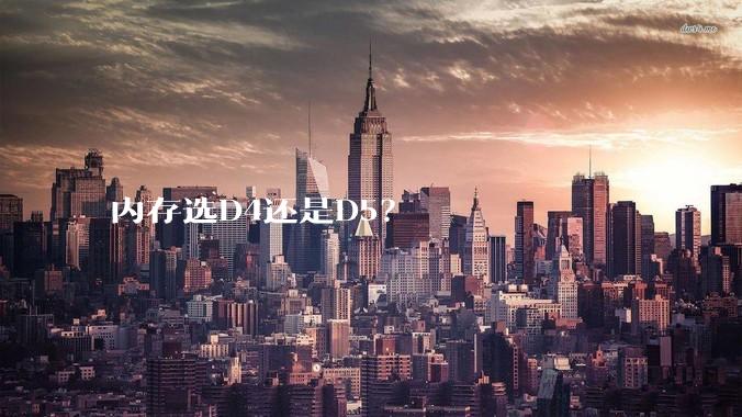 内存选D4还是D5？