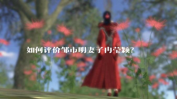 如何评价邹市明妻子冉莹颖？