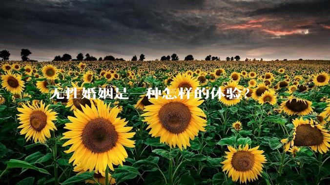 无性婚姻是一种怎样的体验？