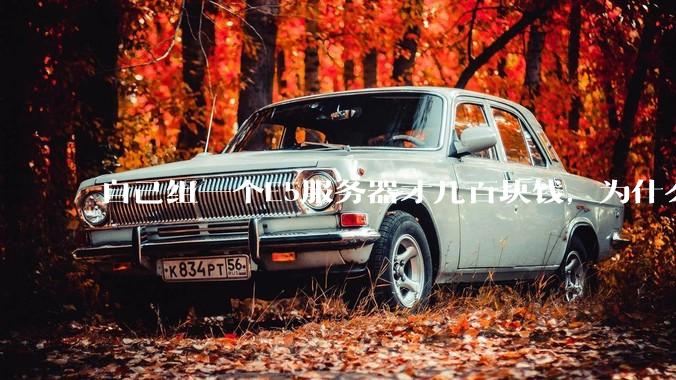 自己组一个E5服务器才几百块钱，为什么去阿里云租这么贵?