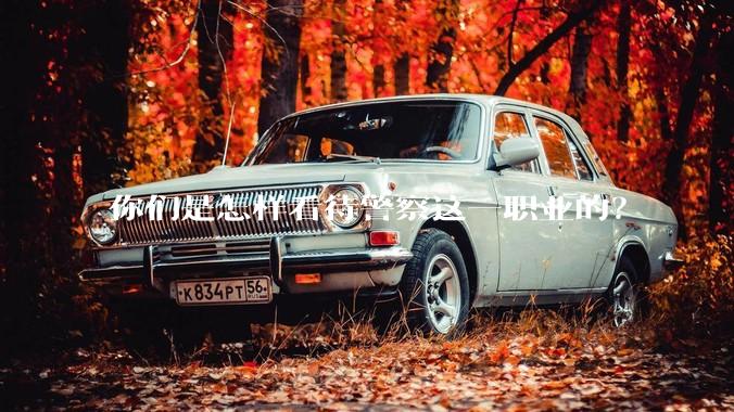 你们是怎样看待警察这一职业的？