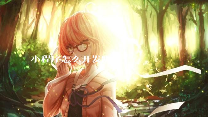 小程序怎么开发呢？