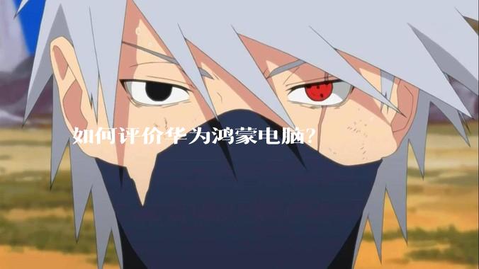 如何评价华为鸿蒙电脑？