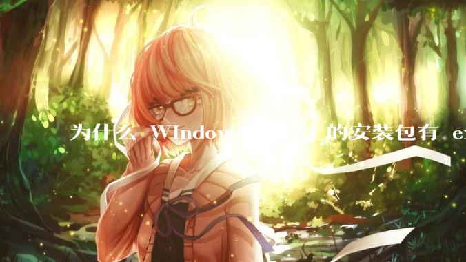 为什么 Windows 系统上的安装包有 exe 和 msi 两种格式，有什么区别？