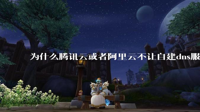 为什么腾讯云或者阿里云不让自建dns服务器?