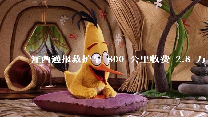 江西通报救护车 800 公里收费 2.8 万「不合理，暂停医院转运服务」，该医院要承担怎样的法律责任？