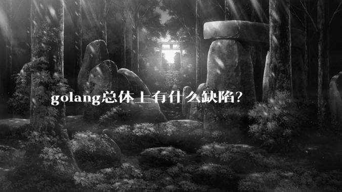 golang总体上有什么缺陷？