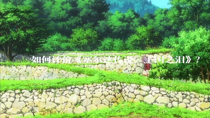 如何评价《塞尔达传说：王国之泪》？