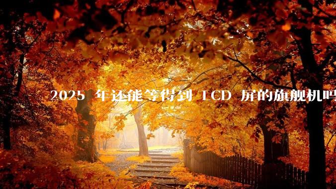 2025 年还能等得到 LCD 屏的旗舰机吗？