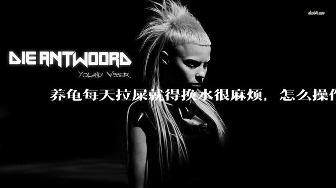 养龟每天拉屎就得换水很麻烦，怎么操作能省点事?