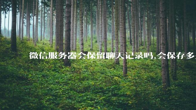 微信服务器会保留聊天记录吗,会保存多久?