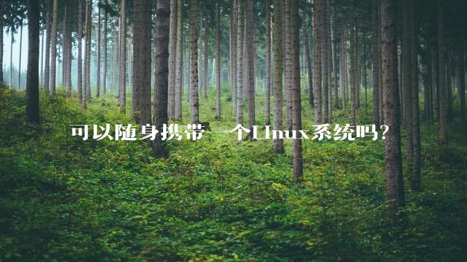 可以随身携带一个Linux系统吗？